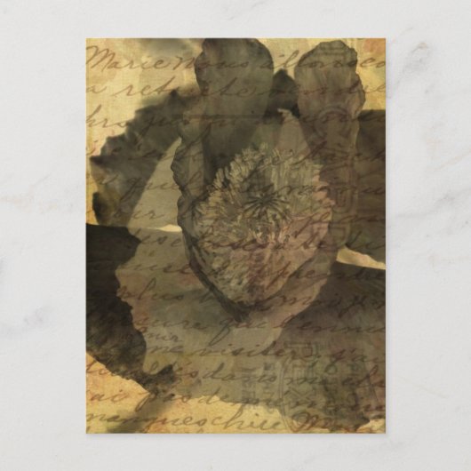 ポピー3 ポストカード (正面)