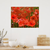 ポピー4 ポスター (キッチン)