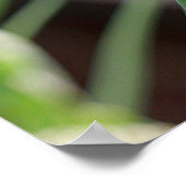 ポピー・カプセル・ポスター ポスター (角)