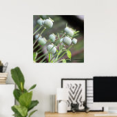 ポピー・カプセル・ポスター ポスター (ホームオフィス)