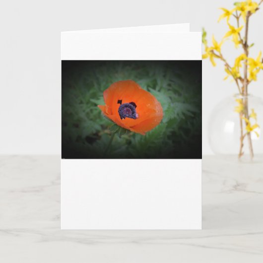 ポピー、カード カード (黄色い花)