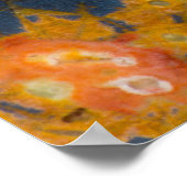 ポピー・ジャスパー ポスター (角)