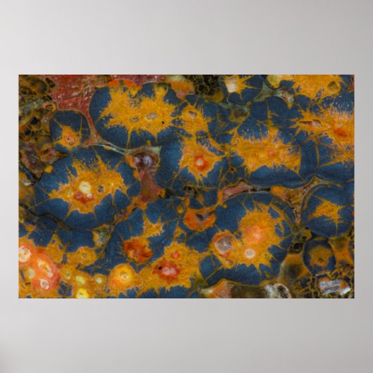 ポピー・ジャスパー ポスター (正面)