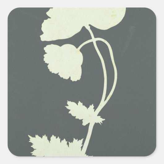 ポピー スクエアシール (正面)