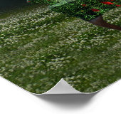 ポピー・ドリームス&カメレオン・スキーム・ポスター ポスター (角)