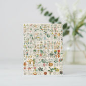 ポピー、バイオレット植物の分類 ポストカード (スタンド正面)