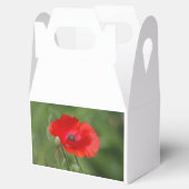 ポピー フェイバーボックス (オープン)