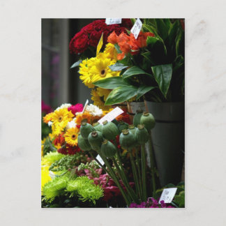 ポピー・ヘッド ポストカード