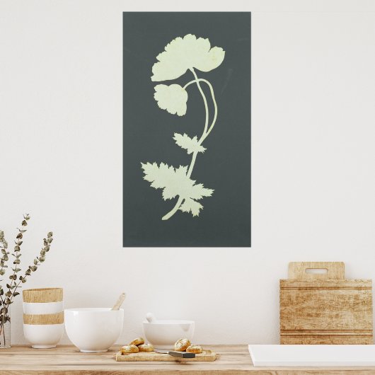 ポピー ポスター (キッチン)