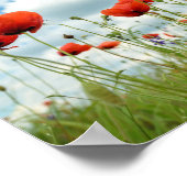 ポピー ポスター (角)