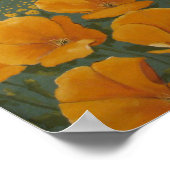 ポピー ポスター (角)