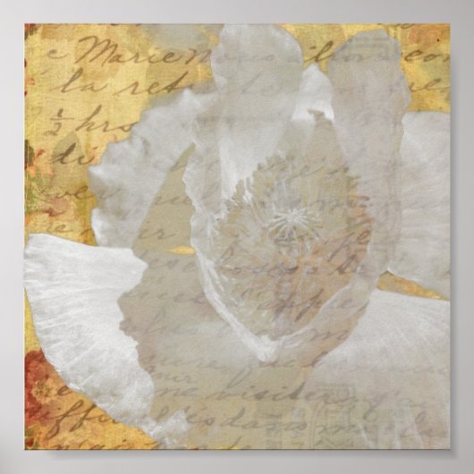 ポピー ポスター (正面)