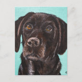 ポピー ポストカード (正面)