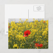 ポピー ポストカード (正面/裏面)