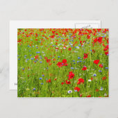 ポピー ポストカード (正面/裏面)