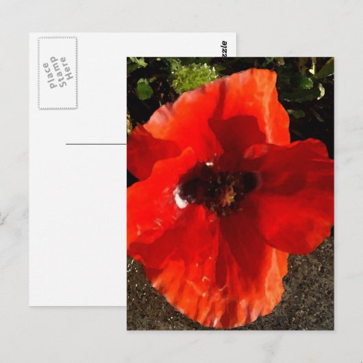 ポピー ポストカード (正面/裏面)