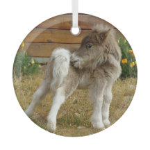 ポピー・ポニー