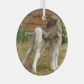 ポピー・ポニー ガラスオーナメント (正面右)