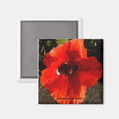 ポピー マグネット (正面/裏面)