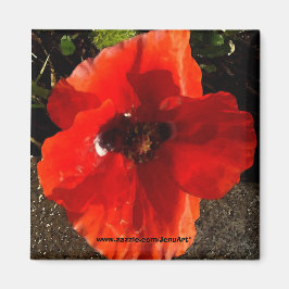 ポピー マグネット