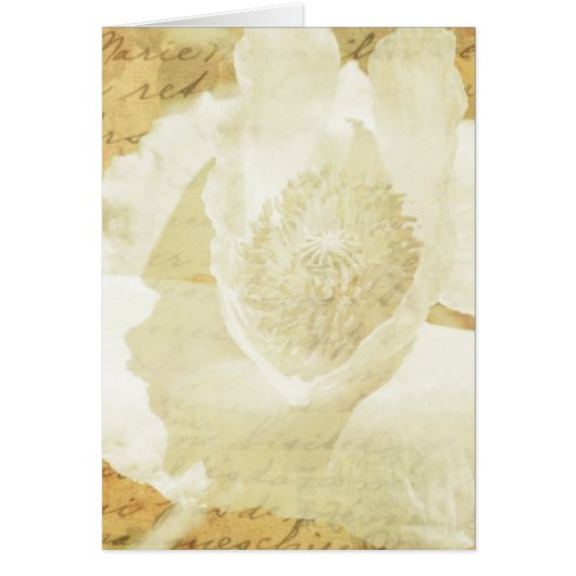 ポピー・マリー (正面)