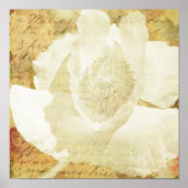 ポピー・マリー ポスター (正面)