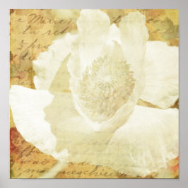 ポピー・マリー ポスター