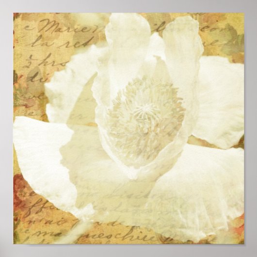 ポピー・マリー ポスター (正面)