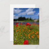 ポピー&ラベンダーフィールド ノートカード (正面/裏面)