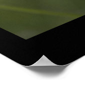 ポピー.cARTerARTによるポスター ポスター (角)