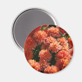 ポピーI マグネット (正面/裏面)