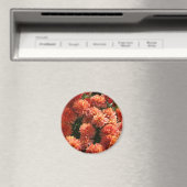 ポピーI マグネット (インサイチュ (食洗機))