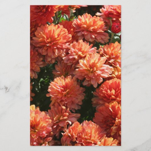 ポピーI 便箋 (正面)