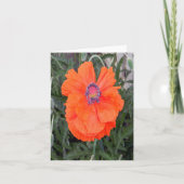 ポピ中国のー… カード (正面)