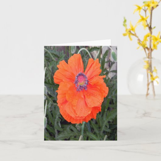 ポピ中国のー… カード (黄色い花)