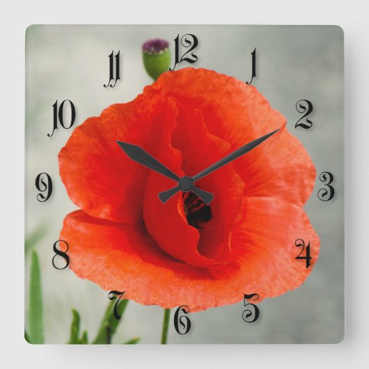 ポピ独身のーの花の写真 スクエア壁時計 (正面)