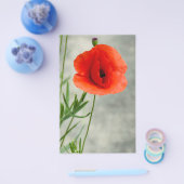 ポピ独身のーの花の写真 チラシ (シングル)