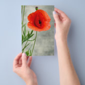 ポピ独身のーの花の写真 チラシ (ハンドル)