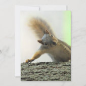 ポフ 招待状 (正面)