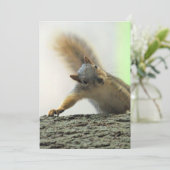 ポフ 招待状 (スタンド正面)