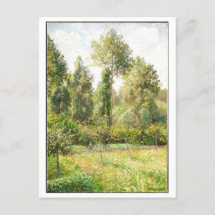 ポプラと牧草地絵を描ズバイPissarro ポストカード