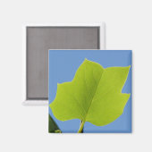 ポプラの木の葉 マグネット (正面/裏面)