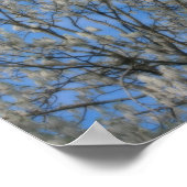 ポプラの木フラフスノー6月自然 ポスター (角)