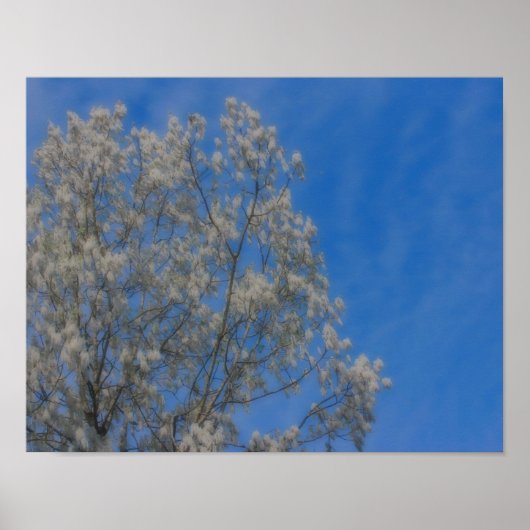 ポプラールツリーフラフススノーインジューンオートン自然アート ポスター (正面)