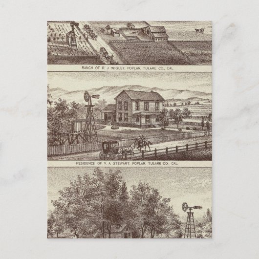 ポプラ牧場 ポストカード (正面)