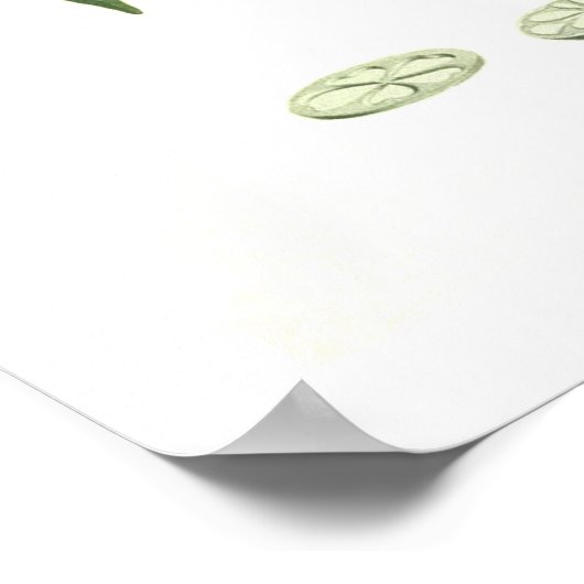 ポプラ目 ポスター (角)