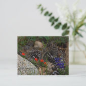 ポプリ ポストカード (スタンド正面)