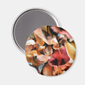 ポプリ マグネット (正面/裏面)