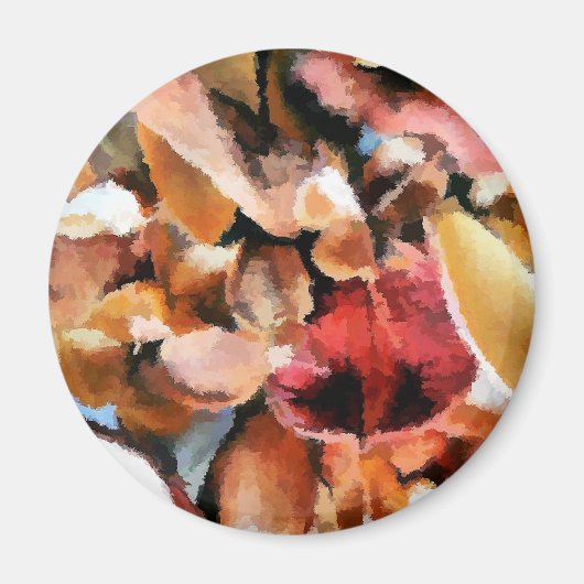 ポプリ マグネット (正面)