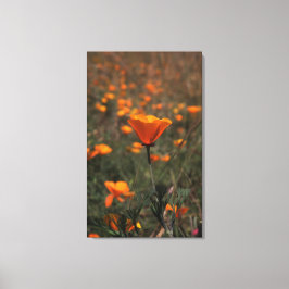 ポペン キャンバスプリント